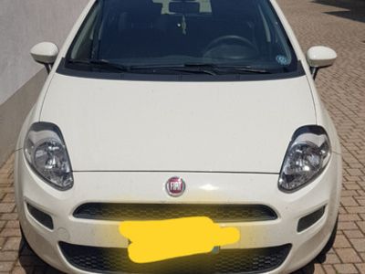 usata Fiat Punto Evo Punto Evo 1.2 5 porte Dynamic