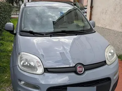 Usata Fiat Panda Lounge 85 CV (62 kW) 2017 Grigio Utilitaria