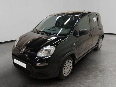 Usata Fiat Panda S 69 CV (50 kW) 2024 Nero Utilitaria