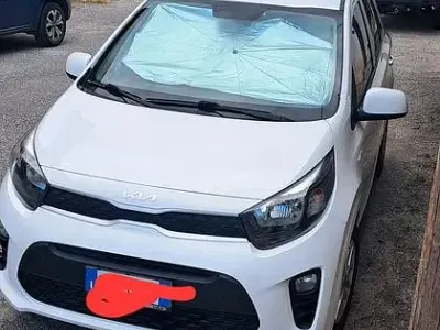 Usata Kia Picanto Urban 67 CV (49 kW) 2023 Bianco Utilitaria