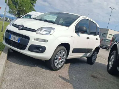 Usata Fiat Panda 4x4 S 86 CV (63 kW) 2020 Bianco Utilitaria