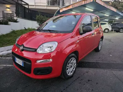 Usata Fiat Panda Easy 69 CV (50 kW) 2019 Utilitaria