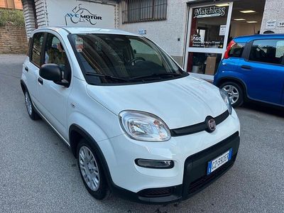 Usata Fiat Panda Icon 70 CV (51 kW) 2025 Bianco Utilitaria