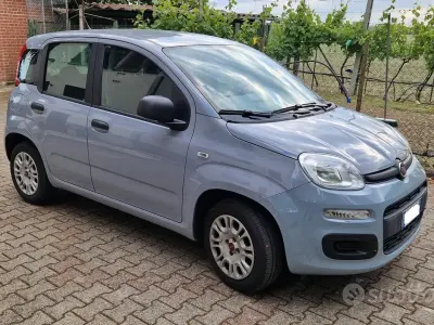 Usata Fiat Panda 69 CV (50 kW) 2019 Grigio Utilitaria