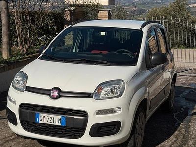 Usata Fiat Panda Easy 80 CV (58 kW) 2014 Bianco Utilitaria