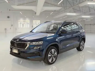 Usata Skoda Karoq