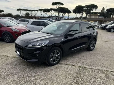 Usata Ford Kuga