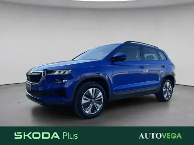 Usata Skoda Karoq
