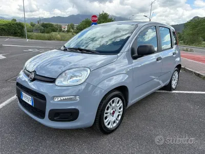 Usata Fiat Panda 69 CV (50 kW) 2018 Grigio Utilitaria