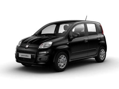 Usata Fiat Panda S 69 CV (50 kW) 2024 Nero Utilitaria