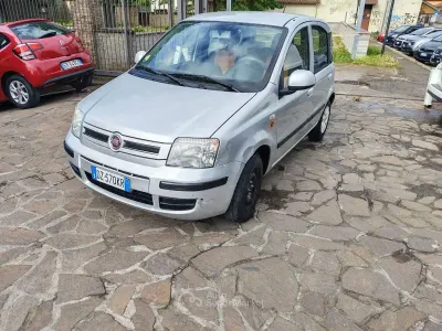 Usata Fiat Panda Dynamic 60 CV (44 kW) 2009 Gray Utilitaria