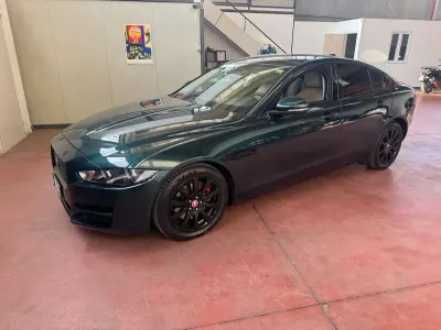 Occasion Jaguar XE Business Edition 179 ch (131 kW) 2016 Vert Berline