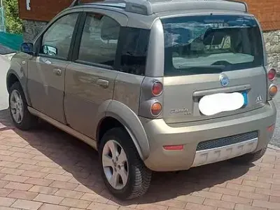 Usata Fiat Panda 4x4 Cross 69 CV (50 kW) 2006 Utilitaria