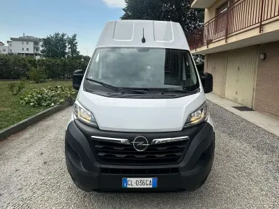 Usata Opel Movano 299 CV (219 kW) 2022 Bianco Furgone
