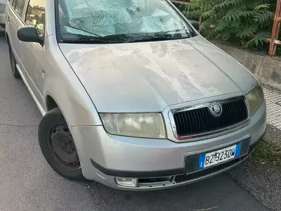 Usata Skoda Fabia