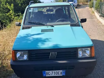 Usata Fiat Panda 4x4 Trekking 54 CV (39 kW) 1999 Verde Utilitaria