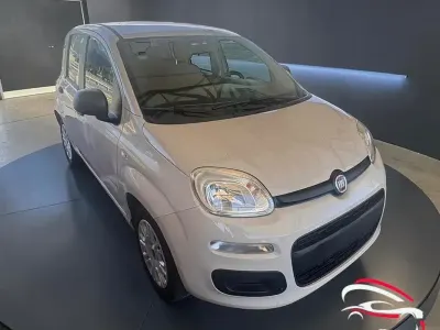 Usata Fiat Panda Easy 69 CV (50 kW) 2017 Beige Utilitaria