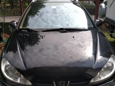 Usata Peugeot 206