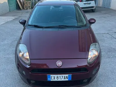 Usata Fiat Punto Evo