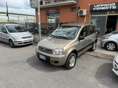Usata Fiat Panda 4x4 75 CV (55 kW) 2007 Marrone Utilitaria