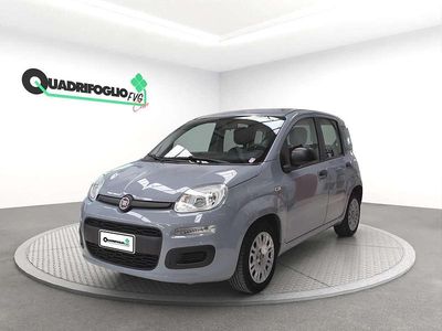 Usata Fiat Panda Easy 69 CV (50 kW) 2021 Grigio Utilitaria