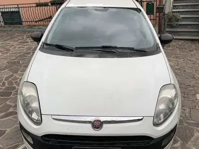 Usata Fiat Punto Evo Dynamic 65 CV (47 kW) 2011 Bianco Utilitaria
