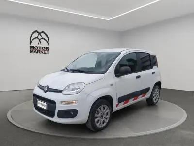 Usata Fiat Panda 4x4 Pop 85 CV (62 kW) 2019 Bianco Utilitaria