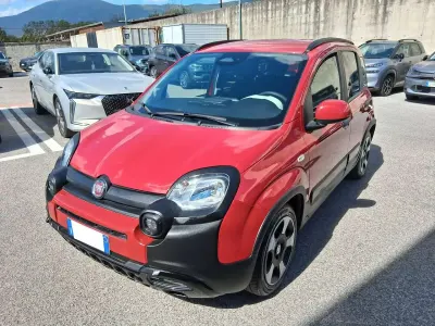 Usata Fiat Panda Cross Cross 69 CV (50 kW) 2025 Rosso passione Utilitaria