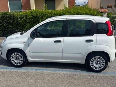 Usata Fiat Panda City Life 69 CV (50 kW) 2021 Bianco Utilitaria