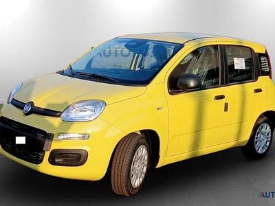 Nuova Fiat Panda Icon 69 CV (50 kW) 2025 Giallo Utilitaria