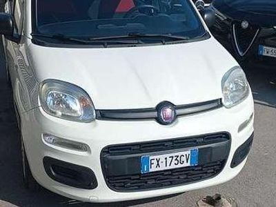 Usata Fiat Panda Easy 69 CV (50 kW) 2019 Bianca Utilitaria