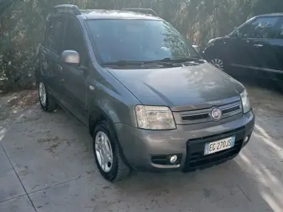 Usata Fiat Panda 4x4