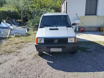 Usata Fiat Panda 4x4 54 CV (39 kW) 1997 Utilitaria