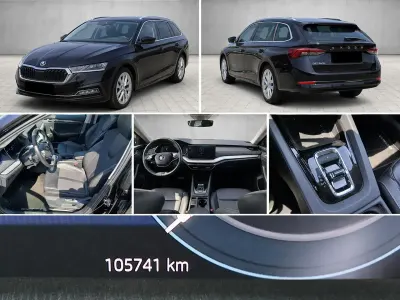 Usata Skoda Octavia