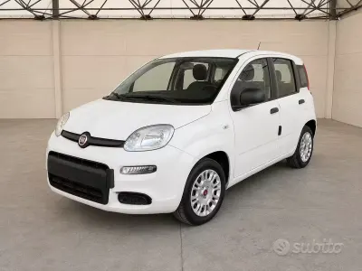Usata Fiat Panda