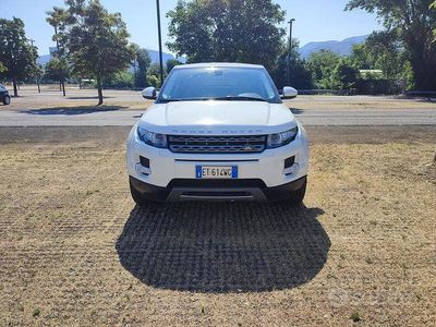 Usata Land Rover Range Rover evoque 190 CV (139 kW) 2014 Bianco SUV