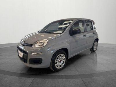 usata Fiat Panda 1.2 Easy usato