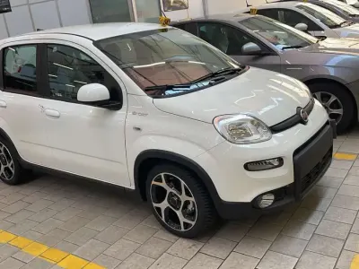 Usata Fiat Panda Sport 69 CV (50 kW) 2022 Other Utilitaria