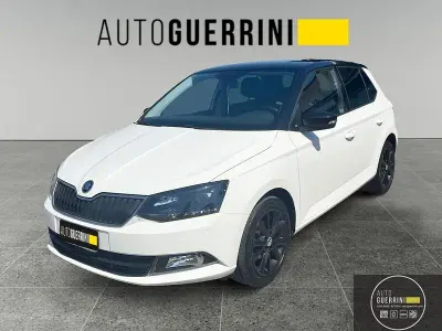 Usata Skoda Fabia