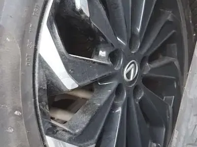 Usata Lexus UX 250h