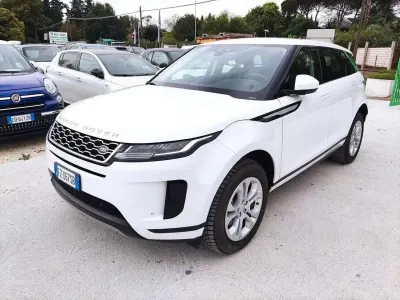 Usata Land Rover Range Rover evoque S 149 CV (109 kW) 2019 Bianco SUV