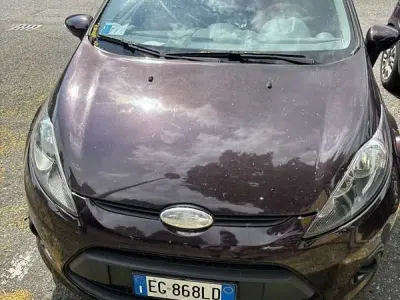 Usata Ford Fiesta