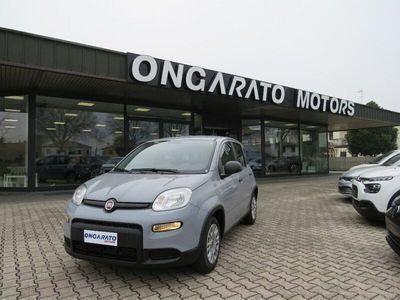 usata Fiat Panda 1.0 FireFly S&S Hybrid usato