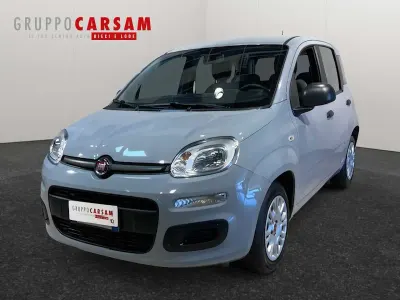 Usata Fiat Panda S 69 CV (50 kW) 2021 Grigio Utilitaria