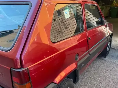 Usata Fiat Panda 4x4