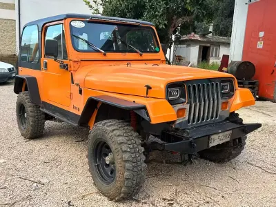Usata Jeep Wrangler 103 CV (75 kW) 1991 SUV