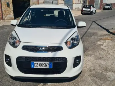 Usata Kia Picanto 67 CV (49 kW) 2015 Bianco Utilitaria