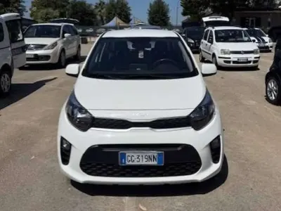 Usata Kia Picanto Urban 67 CV (49 kW) 2021 Bianco Utilitaria
