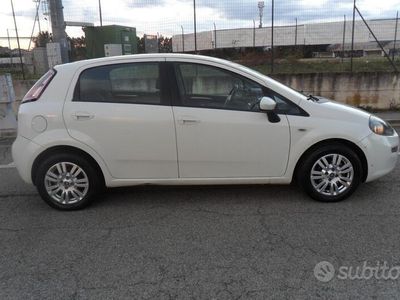 usata Fiat Punto Evo 