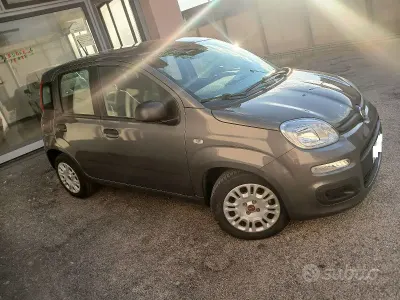 Usata Fiat Panda S 69 CV (50 kW) 2021 Grigio Utilitaria